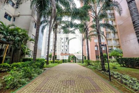 Área comum de apartamento à venda com 3 quartos, 64m² em Cambuci, São Paulo
