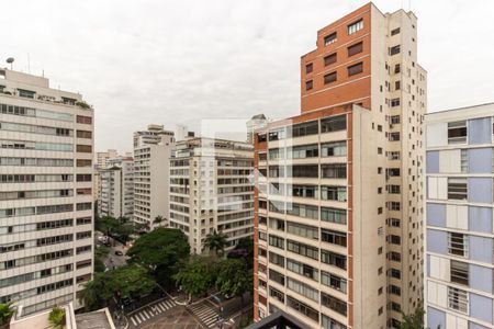 Apartamento para alugar com 240m², 1 quarto e 4 vagas Apartamento para alugar com 240m², 1 quarto e 4 vagasSuíte - Varanda - Vista