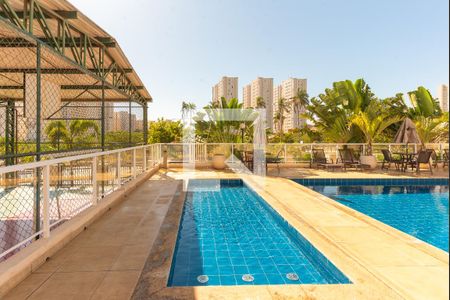 Área comum - Piscina de apartamento para alugar com 2 quartos, 48m² em Parque Industrial, Campinas
