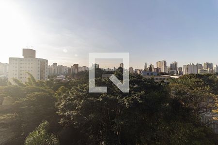 Apartamento para alugar com 241m², 3 quartos e 3 vagasVista da Varanda da Sala