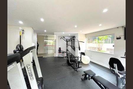 Apartamento para alugar com 75m², 2 quartos e 1 vaga Apartamento para alugar com 75m², 2 quartos e 1 vagaÁrea comum - Academia