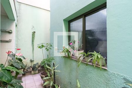 Casa à venda com 226m², 3 quartos e 3 vagasQuintal 2