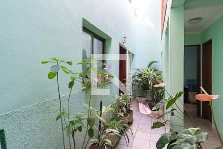 Casa à venda com 226m², 3 quartos e 3 vagasQuintal 2