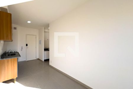 Sala e cozinha de apartamento para alugar com 1 quarto, 25m² em Ipiranga, São Paulo