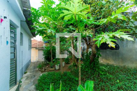 Casa à venda com 400m², 5 quartos e 2 vagas Casa à venda com 400m², 5 quartos e 2 vagasJardim