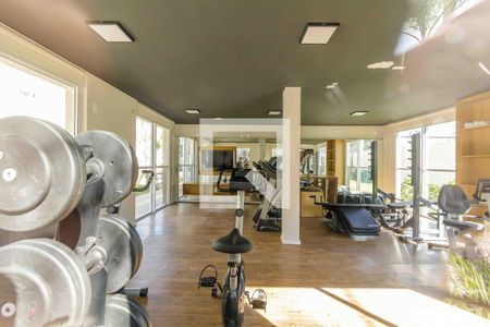 Apartamento para alugar com 54m², 2 quartos e sem vaga Apartamento para alugar com 54m², 2 quartos e sem vagaÁrea Comum Academia