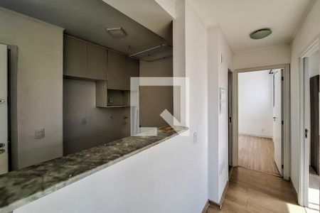corredor de apartamento para alugar com 2 quartos, 35m² em Cambuci, São Paulo