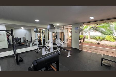 Apartamento para alugar com 40m², 1 quarto e 1 vagaAcademia