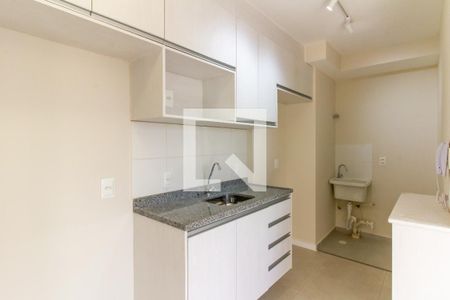 Cozinha de apartamento para alugar com 2 quartos, 33m² em Barra Funda, São Paulo