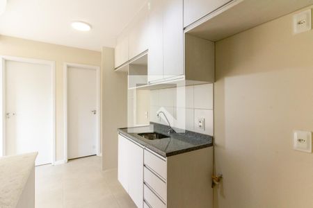 Cozinha de apartamento para alugar com 2 quartos, 33m² em Barra Funda, São Paulo