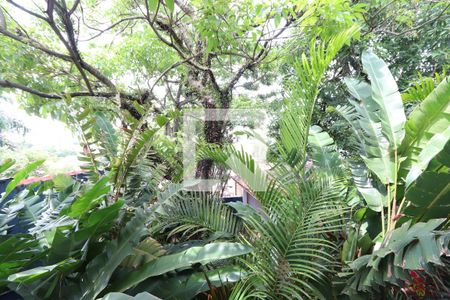 Casa à venda com 574m², 3 quartos e 5 vagasVista da Varanda das suítes 1 e 2