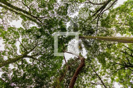 Apartamento à venda com 50m², 2 quartos e 1 vaga Apartamento à venda com 50m², 2 quartos e 1 vagaÁrea Externa