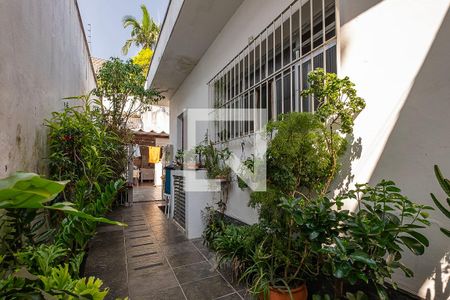 Casa à venda com 640m², 3 quartos e 8 vagasQuintal