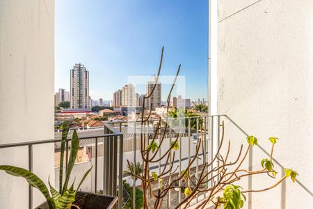 Apartamento à venda com 78m², 3 quartos e 1 vaga