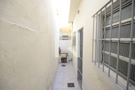 Área de Serviço de casa para alugar com 3 quartos, 100m² em Cambuci, São Paulo