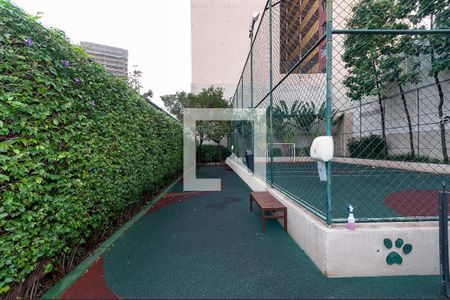 Studio para alugar com 33m², 1 quarto e 1 vaga Studio para alugar com 33m², 1 quarto e 1 vagaÁrea Comum - Pet Place