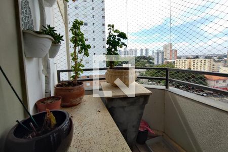 Varanda da Sala de apartamento para alugar com 1 quarto, 65m² em Cambuí, Campinas
