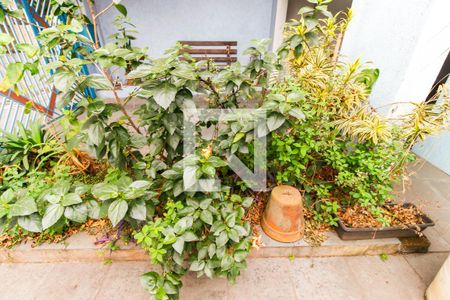 Casa à venda com 330m², 4 quartos e 3 vagasJardim