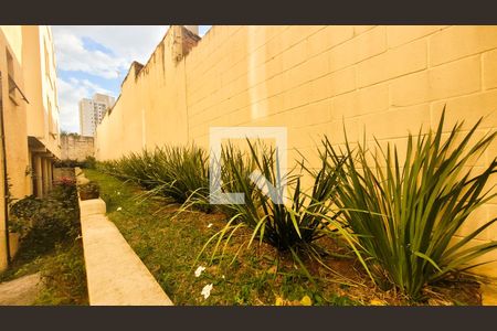 Apartamento à venda com 67m², 2 quartos e 1 vagaÁrea comum