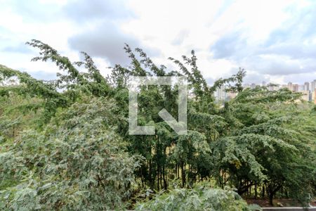 Apartamento à venda com 293m², 4 quartos e 4 vagasVusta