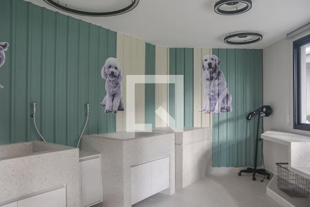 Apartamento à venda com 54m², 2 quartos e 1 vagaÁrea comum - pet