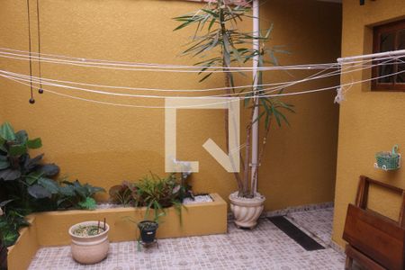 Casa para alugar com 281m², 4 quartos e 2 vagasQuintal