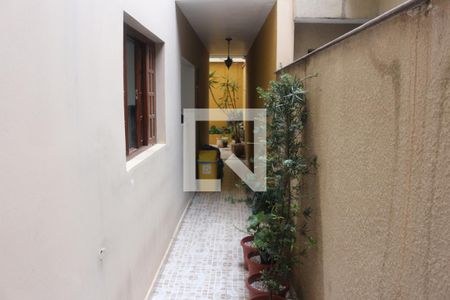 Casa para alugar com 281m², 4 quartos e 2 vagasQuintal