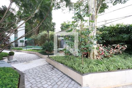 Apartamento para alugar com 54m², 2 quartos e 1 vagaÁrea comum