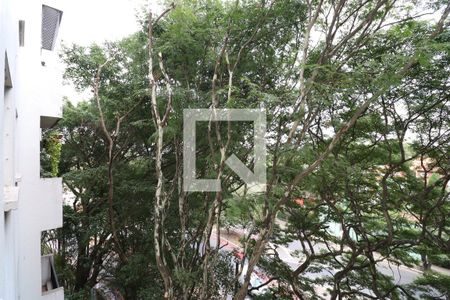 Apartamento para alugar com 54m², 2 quartos e 1 vagaVista do Quarto 1