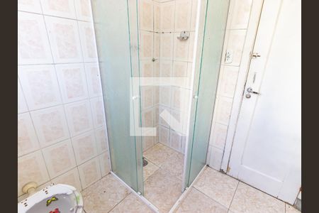 Banheiro de apartamento para alugar com 1 quarto, 48m² em Cambuci, São Paulo