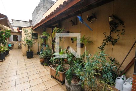 Casa à venda com 200m², 2 quartos e 3 vagas Casa à venda com 200m², 2 quartos e 3 vagasQuintal