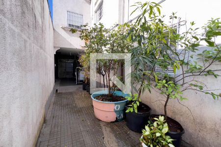 Casa à venda com 350m², 4 quartos e 2 vagasQuintal e área de serviço