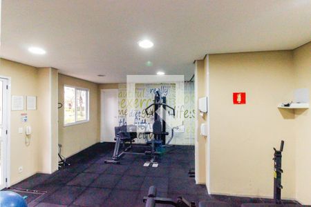 Apartamento à venda com 92m², 3 quartos e 1 vaga Apartamento à venda com 92m², 3 quartos e 1 vagaÁrea comum - Academia