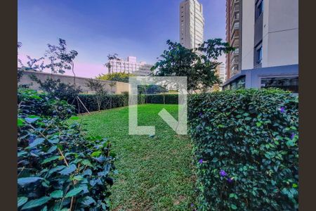 Studio para alugar com 35m², 1 quarto e sem vagaEspaço Pet