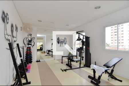 Apartamento para alugar com 68m², 2 quartos e 1 vaga Apartamento para alugar com 68m², 2 quartos e 1 vagaÁrea comum - Academia