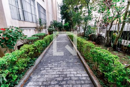Apartamento para alugar com 63m², 2 quartos e 1 vaga Apartamento para alugar com 63m², 2 quartos e 1 vagaÁrea comum