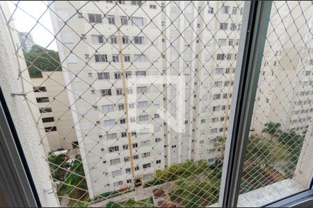 Sala de apartamento para alugar com 2 quartos, 47m² em Jardim Íris, São Paulo