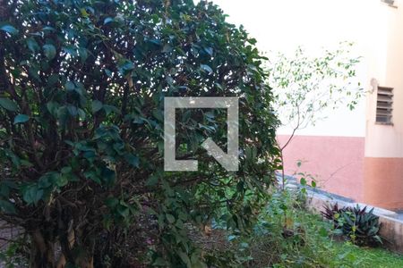 Apartamento para alugar com 57m², 2 quartos e 1 vagaVista do Quarto 01