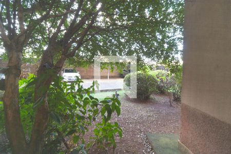 Vista da Sala de apartamento para alugar com 2 quartos, 57m² em Vila Castelo Branco, Campinas