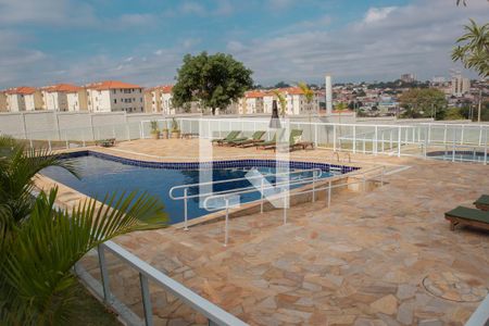 Área comum - Piscina de apartamento para alugar com 2 quartos, 50m² em Jardim Nova Hortolandia, Hortolândia