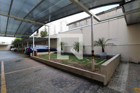 Apartamento à venda com 50m², 2 quartos e 2 vagasÁrea Comum - Área Pet 1