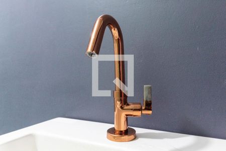 Apartamento para alugar com 62m², 2 quartos e 1 vaga Apartamento para alugar com 62m², 2 quartos e 1 vagaBanheiro - torneira