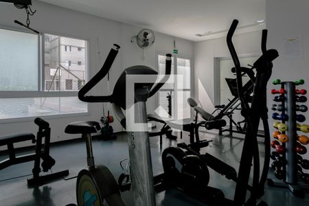 Apartamento para alugar com 80m², 3 quartos e 2 vagasÁrea Comum - Academia