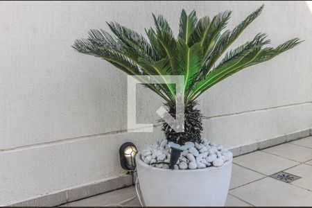 Apartamento para alugar com 160m², 4 quartos e 2 vagasTerraço - Palmeira Sagu