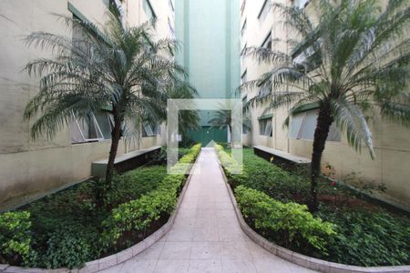 Apartamento para alugar com 48m², 2 quartos e 1 vagaÁrea Comum