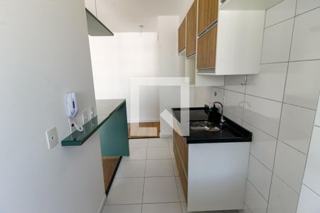 Apartamento para alugar com 45m², 2 quartos e 1 vagaCozinha - Armários