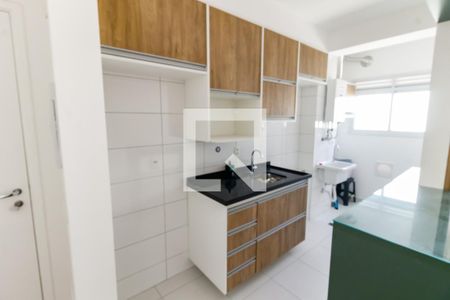 Apartamento para alugar com 45m², 2 quartos e 1 vagaCozinha - Armários