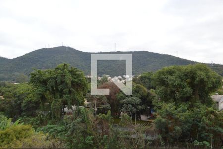 Apartamento à venda com 80m², 3 quartos e 1 vagaVista do Quarto 1