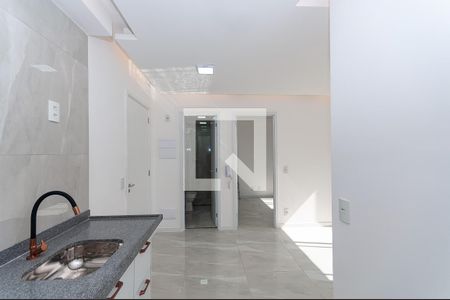 Apartamento para alugar com 36m², 2 quartos e sem vagaCozinha