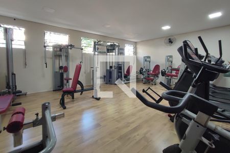 Apartamento para alugar com 55m², 2 quartos e 1 vaga Apartamento para alugar com 55m², 2 quartos e 1 vagaÁrea comum - Academia